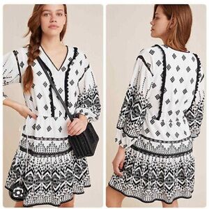 Anthropologie Francine Eyelet Mini Dress